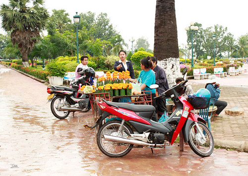 Sắc vàng tuyệt đẹp ở Pha That Luang