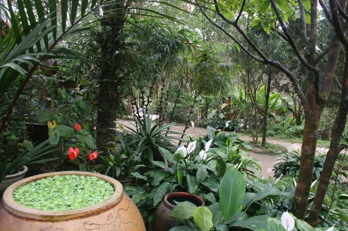 Vãn cảnh chùa Huyền Không Sơn Thượng đất cố đô