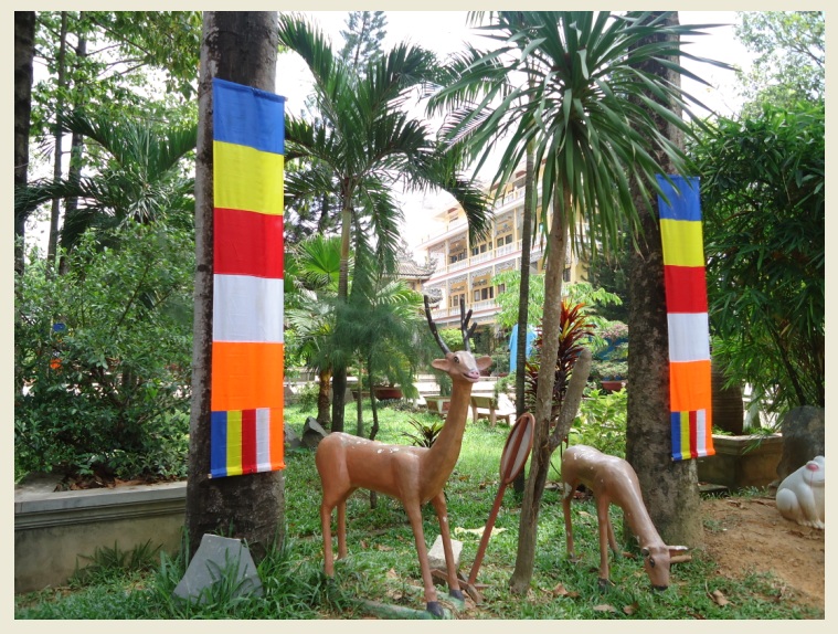 Đồng Nai: Đón mừng Phật đản