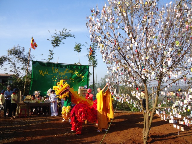 Đón tết Cao Nguyên