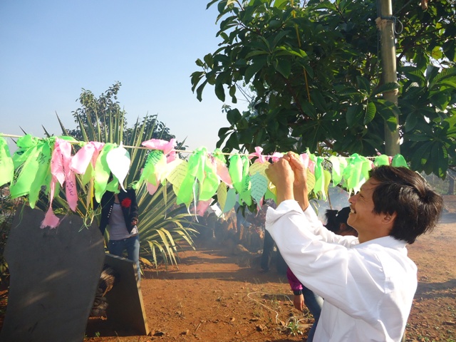 Đón tết Cao Nguyên