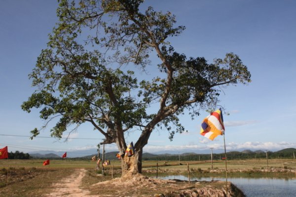 Côn Sơn Tự ngày Phật “trở về”
