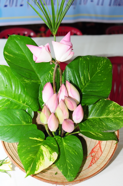Đồng Nai: Chùm ảnh các hoạt động ngày đầu tiên tại khóa tu mùa hè chùa Thiên Chánh và Huyền Trang