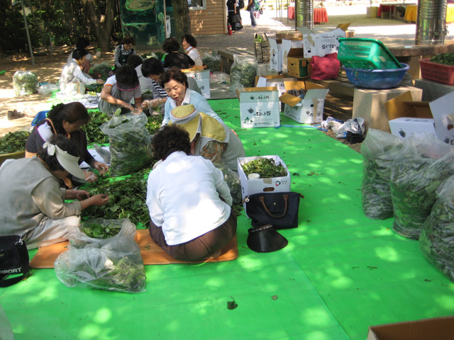 Hàn Quốc : Hình ảnh Chùa Hoằng Pháp làm lễ tắm Phật cuối tuần