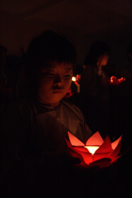 Đồng tháp: Đêm thắp đèn trời, cài hoa tri ân cha mẹ mùa báo hiếu