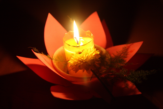 Đồng tháp: Đêm thắp đèn trời, cài hoa tri ân cha mẹ mùa báo hiếu