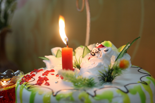 Đồng tháp: Đại lễ Vu lan báo hiếu, mừng thọ cho hơn 200 cụ cao niên