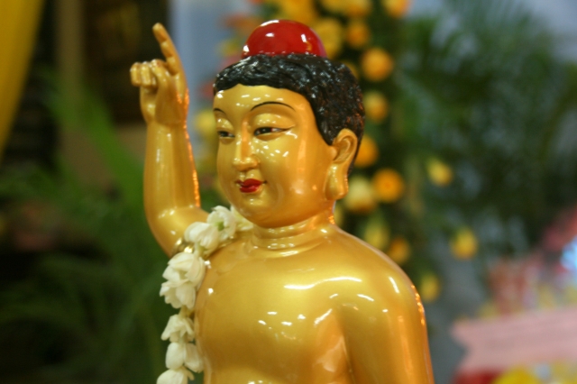 Chùm ảnh: Lễ tắm Phật tại chùa Giác Ngộ - Phật đản PL 2556