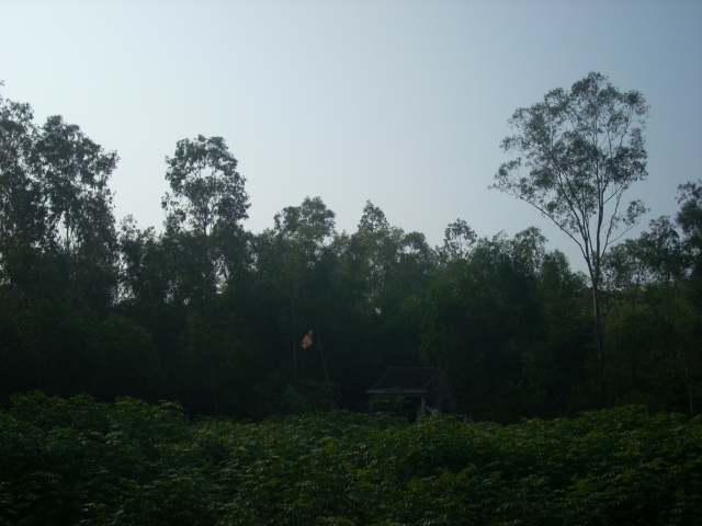 Phật sự huyện Yên Thành, Diễn Châu, tỉnh Nghệ An