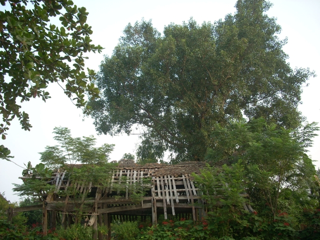 Phật sự huyện Yên Thành, Diễn Châu, tỉnh Nghệ An