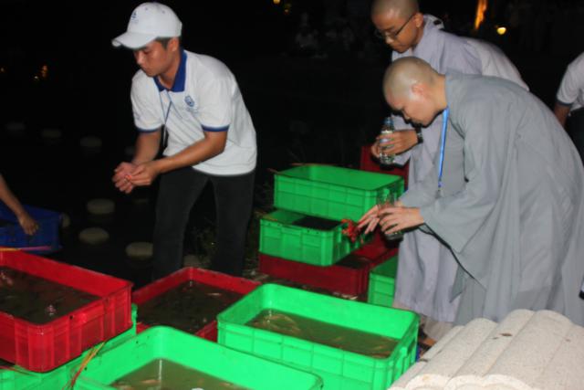 TP. HCM: Khóa tu Gieo Hạt Từ Tâm - Kì VII với chủ đề: Ta Là Ai