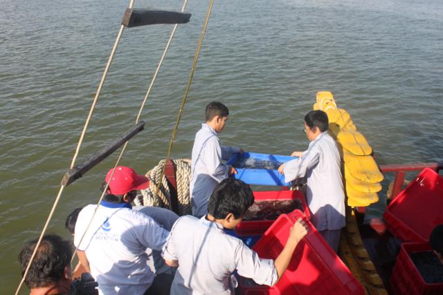 TP.HCM: Khóa tu Gieo Hạt Từ Tâm kì 9 với chủ đề: Tâm Xuân