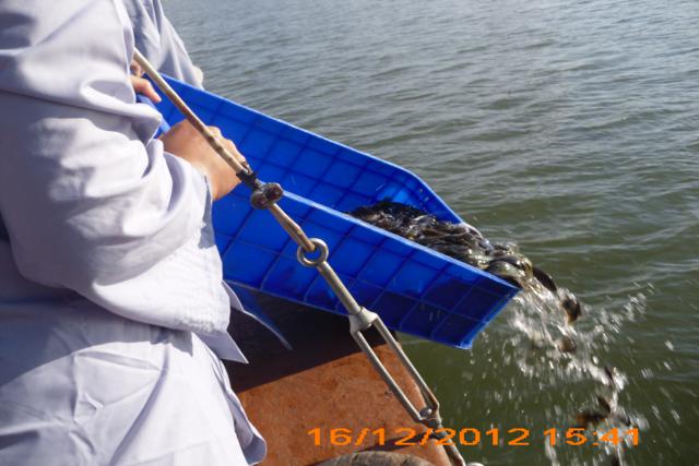 TP.HCM: Khóa tu Gieo Hạt Từ Tâm kì 9 với chủ đề: Tâm Xuân