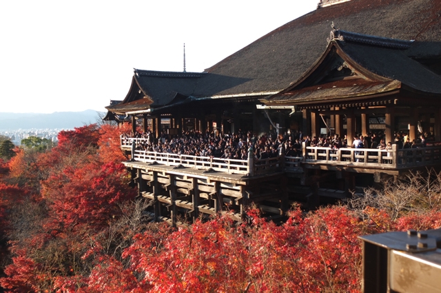 Đến Nhật Bản tham quan chùa Kiyomizudera
