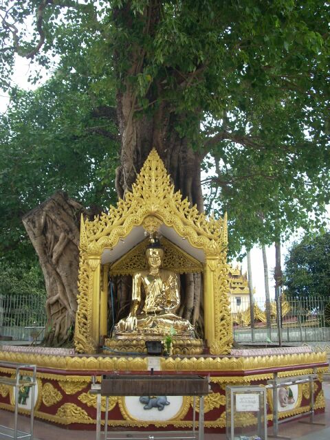 Miến Điện : Chùa Vàng thăng trầm cùng dân tộc