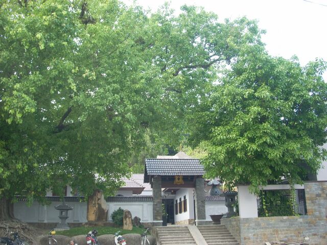 Chùa Lò Gạch &amp; thầy Thích Huệ Tâm