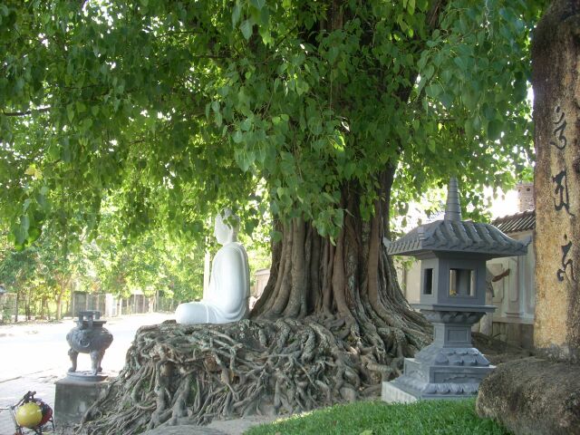 Chùa Lò Gạch &amp; thầy Thích Huệ Tâm