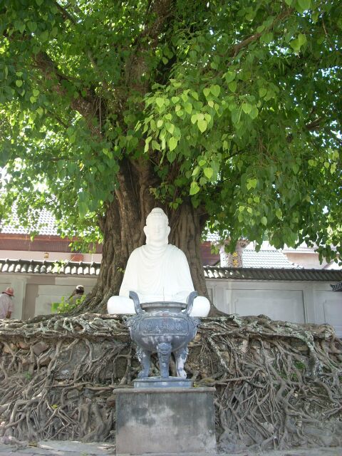 Chùa Lò Gạch &amp; thầy Thích Huệ Tâm