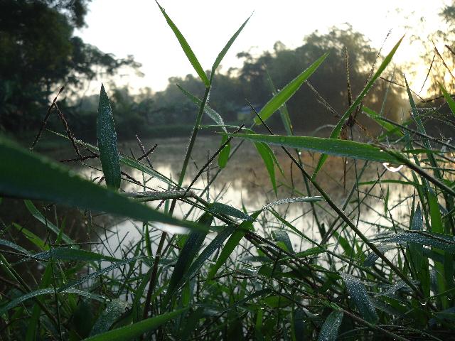 Lục bát xướng họa!