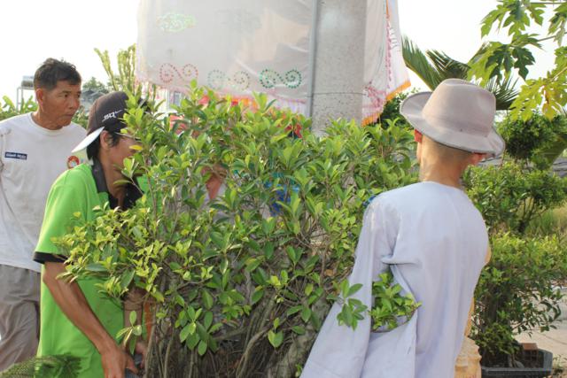 Long An: Chùa Khánh Ninh - Không khí chuẩn bị khoá tu mùa đông