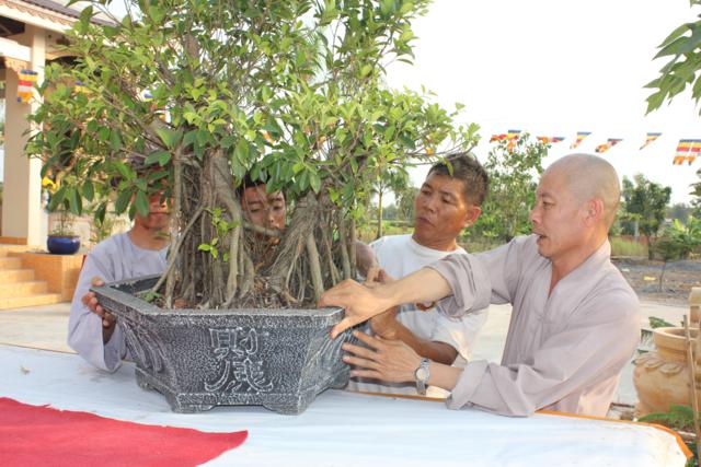 Long An: Chùa Khánh Ninh - Không khí chuẩn bị khoá tu mùa đông