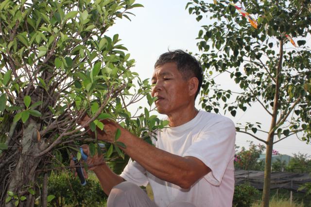 Long An: Chùa Khánh Ninh - Không khí chuẩn bị khoá tu mùa đông