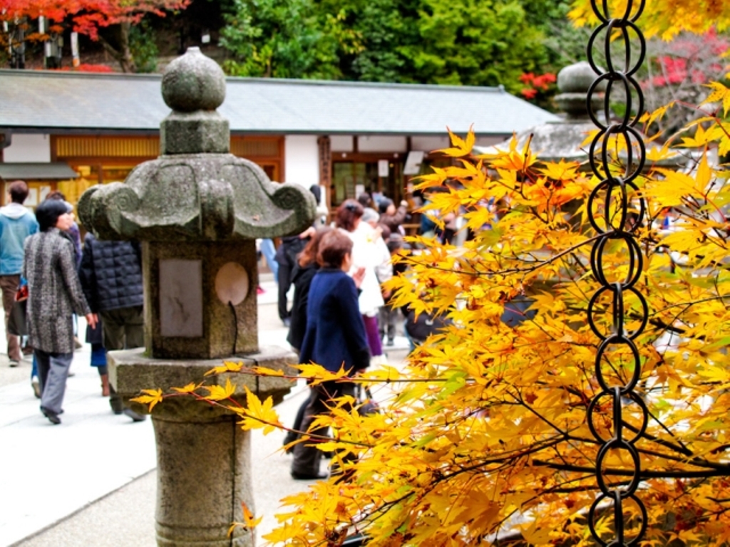 Đến Nhật Bản tham quan chùa Kiyomizudera