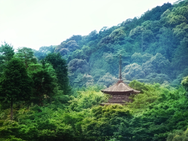 Đến Nhật Bản tham quan chùa Kiyomizudera