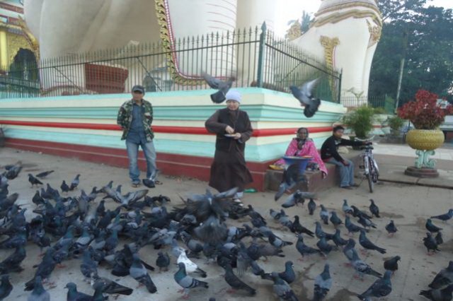 Chư Tôn Đức Tăng Ni Phật tử phái đoàn Việt Nam hành hương Myanmar