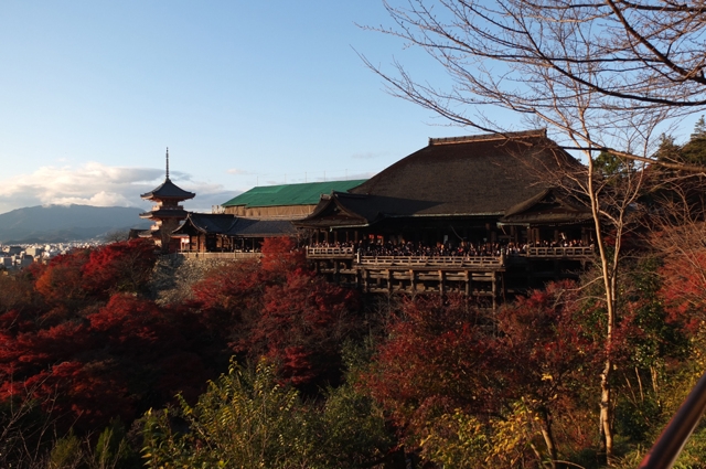 Đến Nhật Bản tham quan chùa Kiyomizudera
