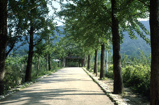Hàn Quốc : Phù Thạch cổ Tự (浮石寺)