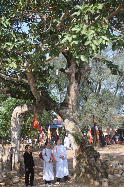 Chùa Xuân Đài: Lễ Phật thành đạo và Phật tử nghe pháp của TT. Thích Nhật Từ