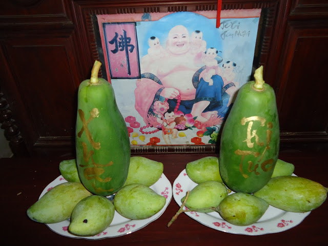 Tình Cố Hương