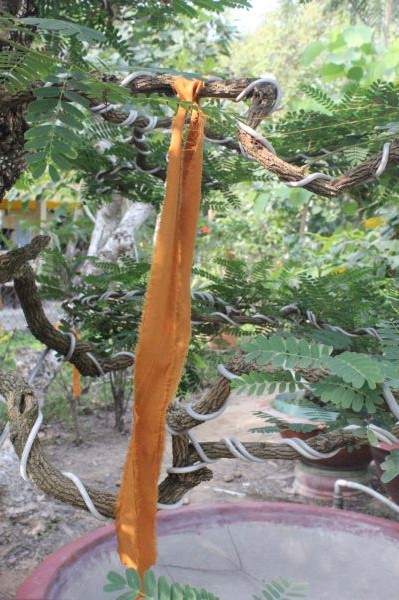 Vĩnh Long: Hàng ngàn Tăng Ni, Phật tử tham dự lễ cung tống kim quan nhập Bảo tháp