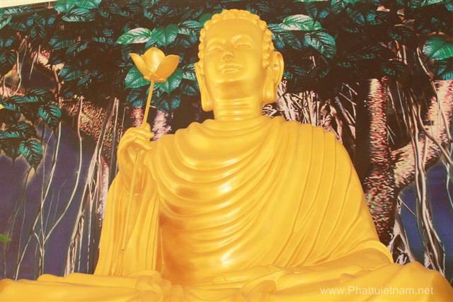 Nghệ An: ĐĐ. Thích Tuệ Minh thuyết giảng tại khóa tu An Lạc chùa Chí Linh