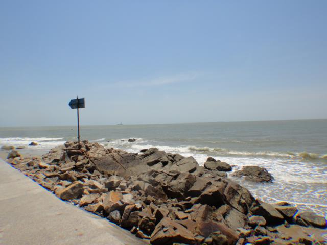 Gieo Hạt Từ Tâm kì 12: Cậu ấm cô chiêu làm nông dân