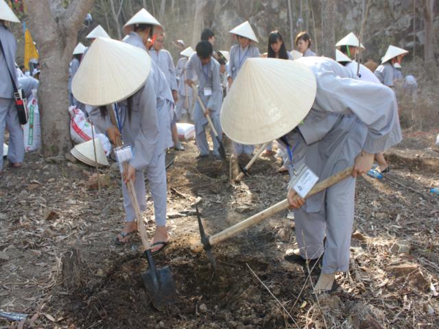Gieo Hạt Từ Tâm kì 12: Cậu ấm cô chiêu làm nông dân