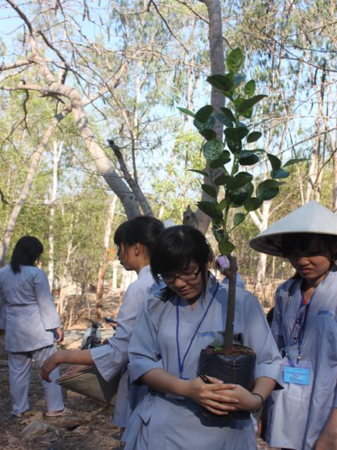 Gieo Hạt Từ Tâm kì 12: Cậu ấm cô chiêu làm nông dân