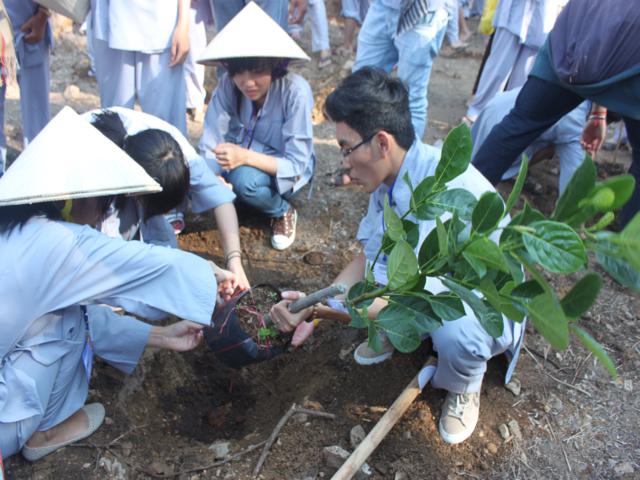 Gieo Hạt Từ Tâm kì 12: Cậu ấm cô chiêu làm nông dân