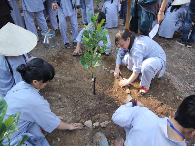 Gieo Hạt Từ Tâm kì 12: Cậu ấm cô chiêu làm nông dân