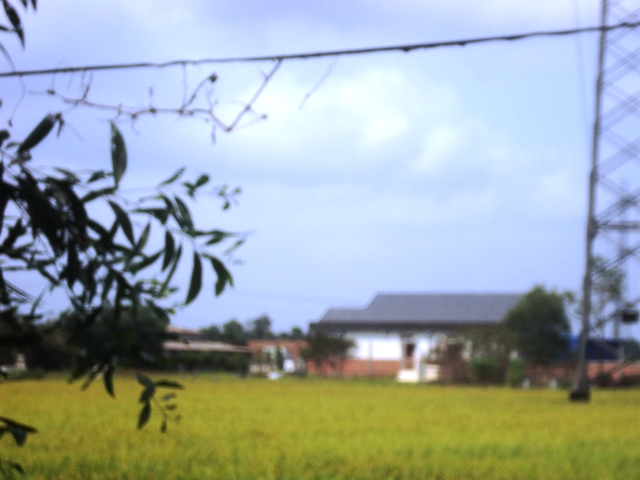 Một chuyến đi nghĩa tình