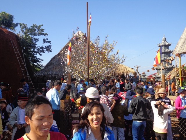 Hoa Khai ngày xuân khai hội