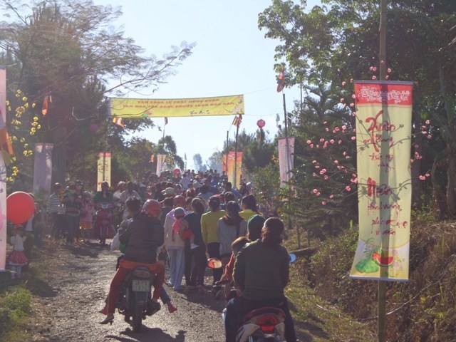 Hoa Khai ngày xuân khai hội