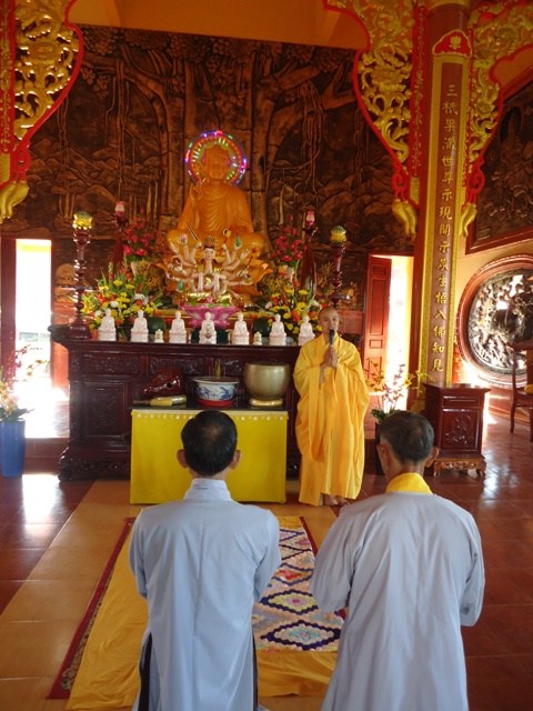 Hoa Khai ngày xuân khai hội