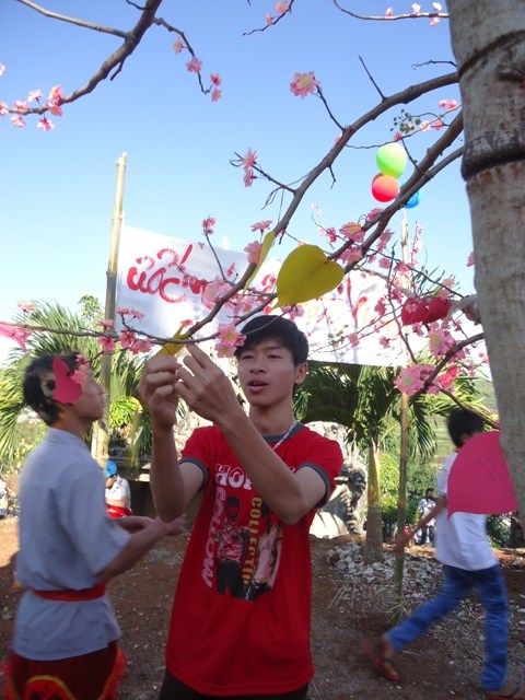 Hoa Khai ngày xuân khai hội