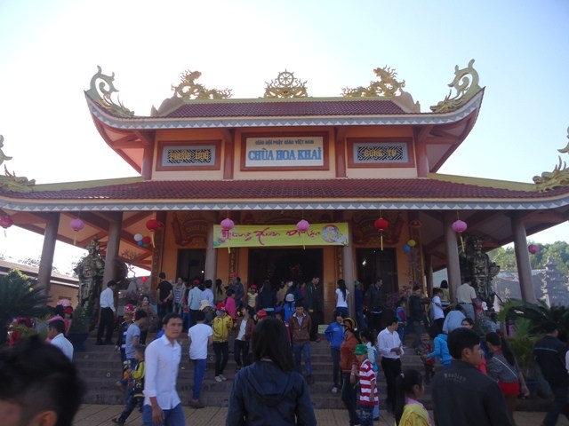 Hoa Khai ngày xuân khai hội