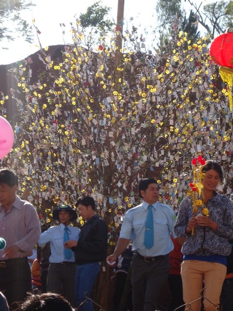 Hoa Khai ngày xuân khai hội