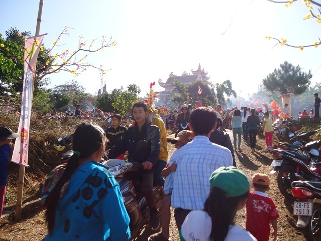 Hoa Khai ngày xuân khai hội