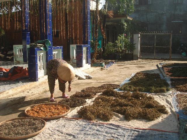 Có một Thiền Viện hết lòng vì người nghèo