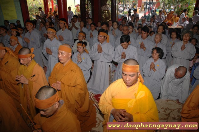 TP. HCM: Thất trai tuần - Nhập bảo tháp xá lợi cố ĐLHT thượng Từ hạ Nhơn